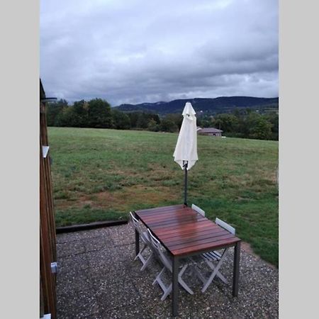 Studio De Jardin Cosy Avec Vue Panoramique Villa Neuvillers-sur-Fave Esterno foto
